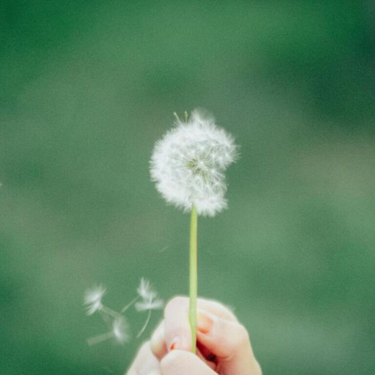 Ano novo, vida nova?